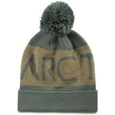 아크테릭스비니