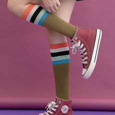 캐시미어골지니삭스