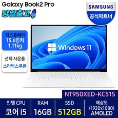 nt950qed-kc51s 삼성전자 갤럭시북2 프로 NT950XED-KC51S 가성비 노트북 사무용 학생용 실버 코어i5 256GB 16GB WIN11 Home