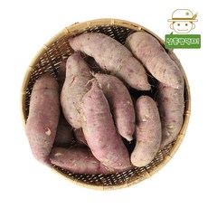 와룡농협에서 보내드리는 안동 햇 꿀고구마 3kg5kg, 꿀고구마(중상)3kg, 1개