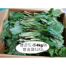 냉동곤드레 강원도 영월 냉동곤드레 나물 4kg