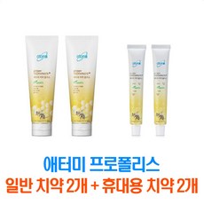 애터미 치약 200gX2개 + 휴대용 50gX2개, 4개, 125g