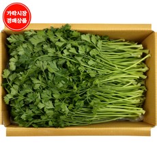 향나물