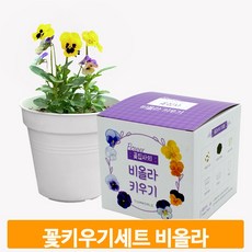 코딩키트식물
