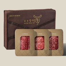 [구미우] 1++(9)등급 한우 불고기 선물세트 900g (불고기 300g/국거리 300g/장조림 300g), 1세트