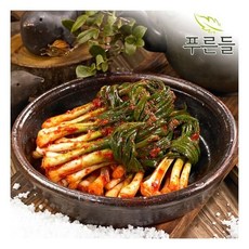 종가집김치양념