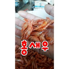 군산꽃새우