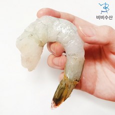 팔딱이새우