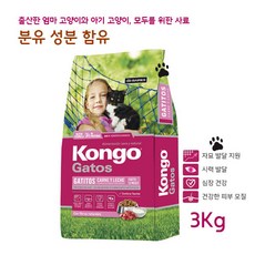 심콩캣