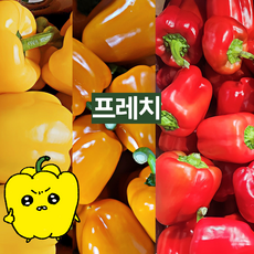 프레치 국내산 못난이 파프리카 혼합 세트, 노랑+빨강, 1개, 2kg