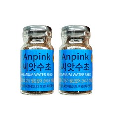 안핑크 씨앗수초 M