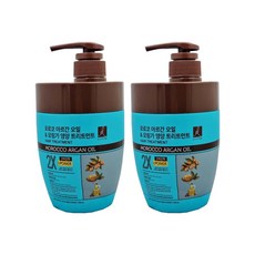 엘라스틴 모로코 아르간오일 & 모링가 영양 2X 샴푸 1100ml 트리트먼트 700ml, 트리트먼트 x 2개