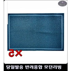 고양이초보집사되기