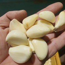 23년 창녕마늘 깐마늘 다진마늘, 1개, 1kg(소)