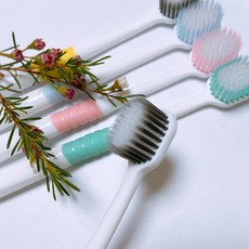 살림백서미세모딥그레이쉬딥클린칫솔20개입초극세모임산부대용량부드러운어금니 TOP01