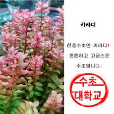 ad8bd8a60a845fed93fe9a071eb87af6bb36d1de222c5a98a12ca8f75113.jpg