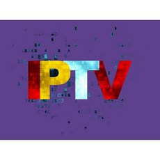 IPTV pro6개월2만개 이상 채널14000개 필름 2000개 시리즈 HD 전세계, 1개