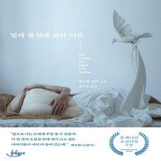 빛과물질에관한이론