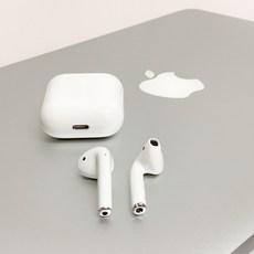 애플 TD 정품 에어팟2 에어팟프로 왼쪽 오른쪽 단품 본체 유닛 한쪽판매 블루투스이어폰, 2세대, 에어팟 무선 본체