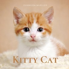 (영문도서) Kitty Cat: Kittens Picture Book for Dementia and Alzheimer's Patients Paperback, Adisan Publishing AB, English, 9789189700154