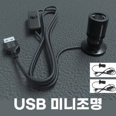 컴위즈 피규어조명 진열장 장식장 미니LED조명 전구 USB 라이트 핀조명, 블랙(스위치)1구, 2개, 웜화이트