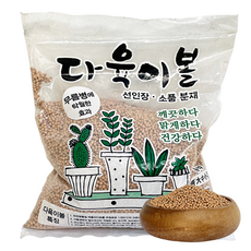 대복토시살