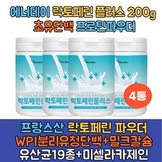 덴마크다이어트