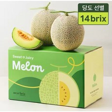 [넥스트브릭스] 프리미엄 고당도 얼스 멜론, 1박스, 3kg