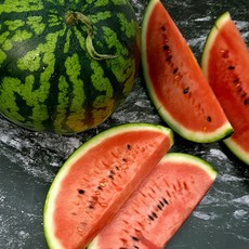 고창수박-추천-상품