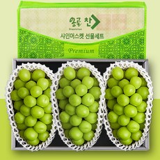 프리미엄당도 특품 샤인머스켓 과일 선물세트, 1개, 2kg