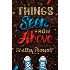 (영문도서) Things Seen from Above Prebound, Turtleback, English, 9781663629593