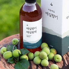 경남 하동 매실향 가득한 오리지널 수제 매실원액 선물용 매실청 1000ml, 1개, 1L