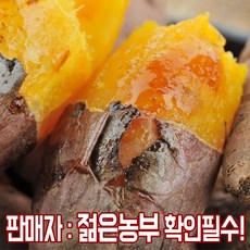 정읍젊은농부 2020년 햇 호박고구마, 3kg 호박고구마 특상 (120~300g), 1box