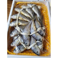 대장대영광굴비
