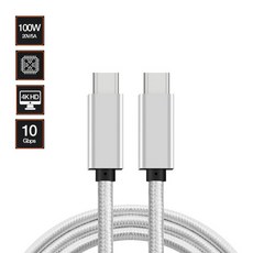 라온 PD USB3.1 GEN2 4K 100W C to C 고속 충전케이블 1M 실버, 단일속성, 1개