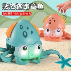 춤추는오징어