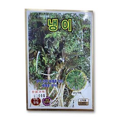 고추냉이모종