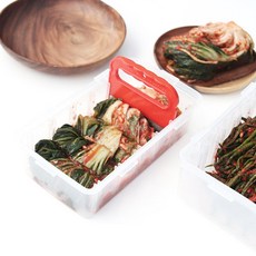 리빙썸