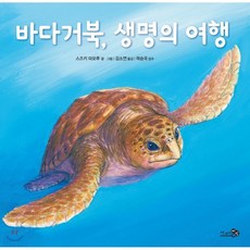 거북아뭐하니