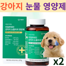 비숑눈물자국