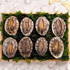 산지직송 해남 전복 대 1kg(12-13미)/선물포장, 1개