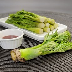 옥도리네 국내산 참두릅, 1개, 500g