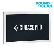 Steinberg Cubase Pro 12 일반용 큐베이스 프로 12