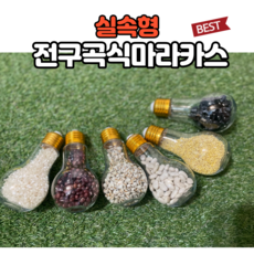 귀여운마라카스