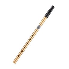 홀 플루트 키 아일랜드 휘슬 주석 페니 금속 악기 목관 뮤지컬, 6. Gold D Key 30cm, 1개
