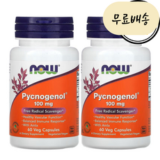 나우푸드(NOW) 피크노제놀 식물성캡슐 2통세트 호팍사 Pycnogenol 100mg 60정 베지 캡슐 X 1통, 2개, 60개