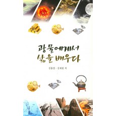 광물에게서 삶을 배우다, 한국상담심리연구원