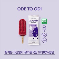 비건아이스크림
