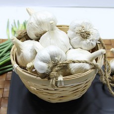 이베따 보물섬 남해농협 마늘 5kg(특), 단품없음, 06_통마늘 5kg(특)