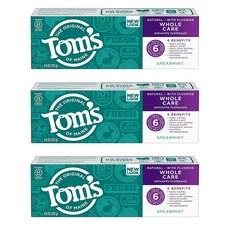 탐스 홀 케어 치약 113g 3팩 스피어민트 Tom's of Maine Whole Care Toothpaste Natuaral Spearmint 4.0 Ounce 3-Pack, 1개, 1ml